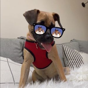 Meet your Posher, Peyton